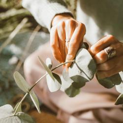 The Therapeutic Power of Gardening: Starting Your Green Hobby