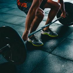 The Best Exercises for Building Muscle Mass