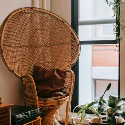 Sustainable Furniture: How to Choose Eco-Friendly Options