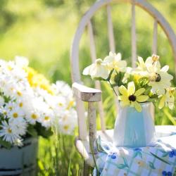 How to Maintain Your Garden During the Hot Summer Months