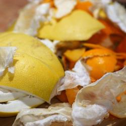 The Benefits of Composting and How to Get Started