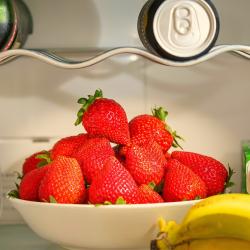 What You Need to Know About Freezing Food for Long-Term Storage