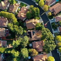 How to Start Living Sustainably at Home: A Beginner&#39;s Guide