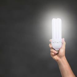 Eco-Friendly Home Improvements That Save You Money