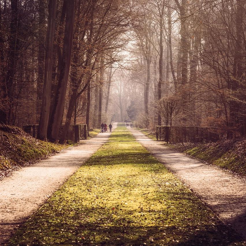 Mindfulness for Stress Reduction: Techniques That Work