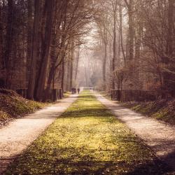 Mindfulness for Stress Reduction: Techniques That Work