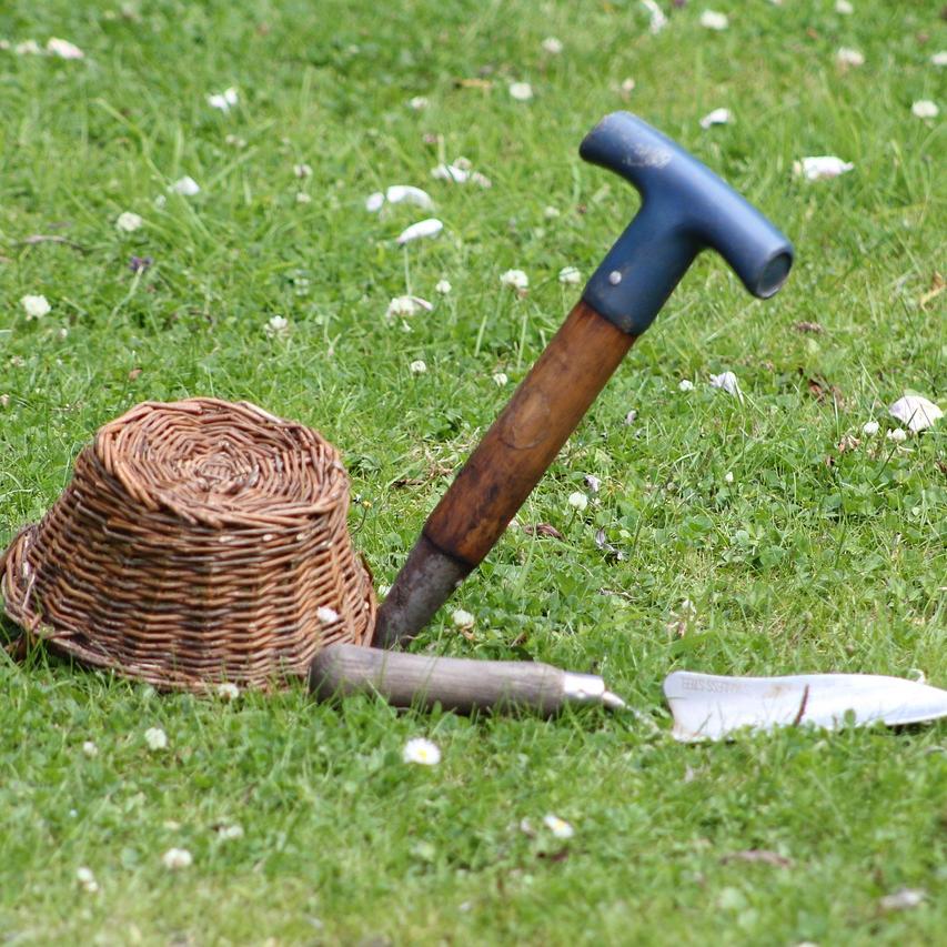 Seasonal Garden Tools You Need for Year-Round Care
