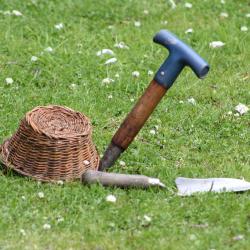Seasonal Garden Tools You Need for Year-Round Care