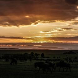 The Best Wildlife Sanctuaries to Visit