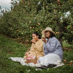 Mindful Eating: How to Enjoy Food with Full Awareness