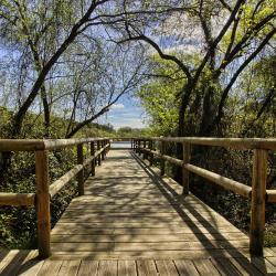 What Is Eco-Tourism and Why You Should Consider It for Your Next Trip