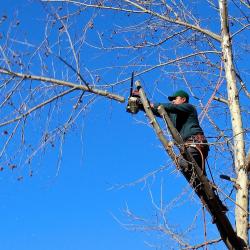 Spring Cleaning for Your Garden: Essential Tasks to Start the Season