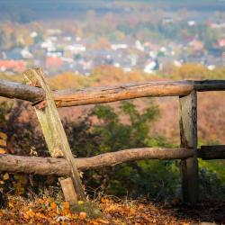 How to Fix a Broken Fence Post: A Simple DIY Solution