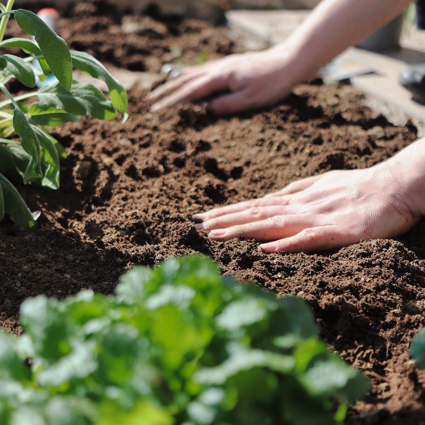 How to Extend Your Growing Season: Tips for Fall and Winter