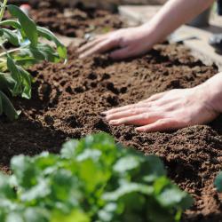 How to Extend Your Growing Season: Tips for Fall and Winter