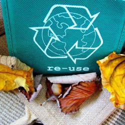 Zero-Waste Living: How to Reduce Your Household’s Environmental Impact