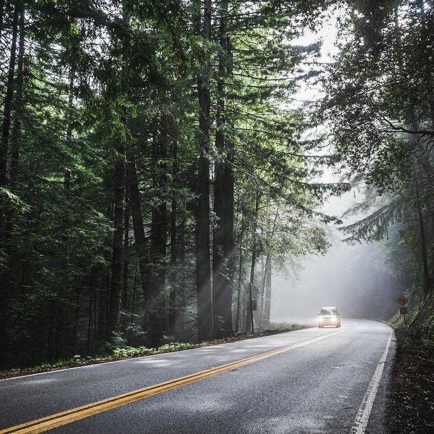 How to Choose the Best Car for Road Trips