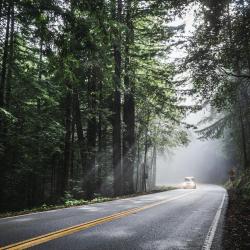 How to Choose the Best Car for Road Trips