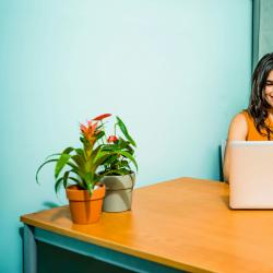 Building a Professional Portfolio: A Beginner’s Guide