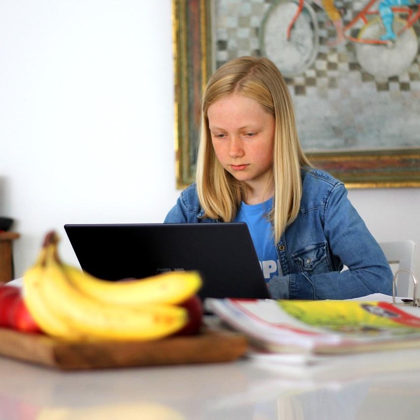 How to Build a Study Plan for Online Learning