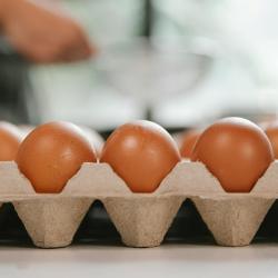 The Ultimate Guide to Meal Prep for Beginners