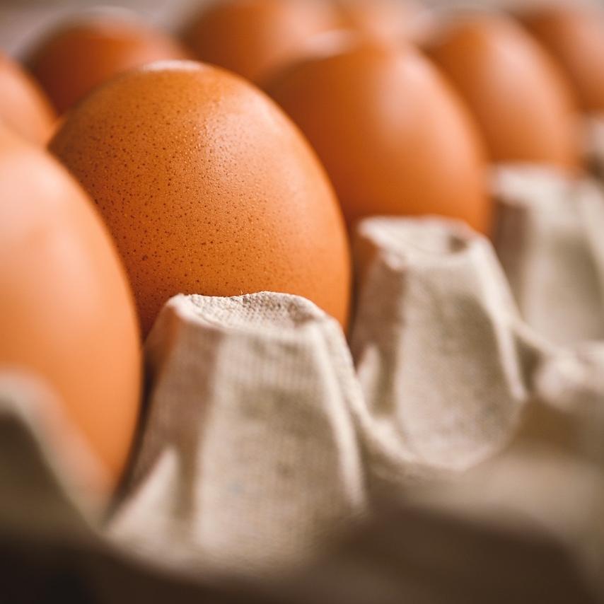 How to Handle and Store Eggs Safely