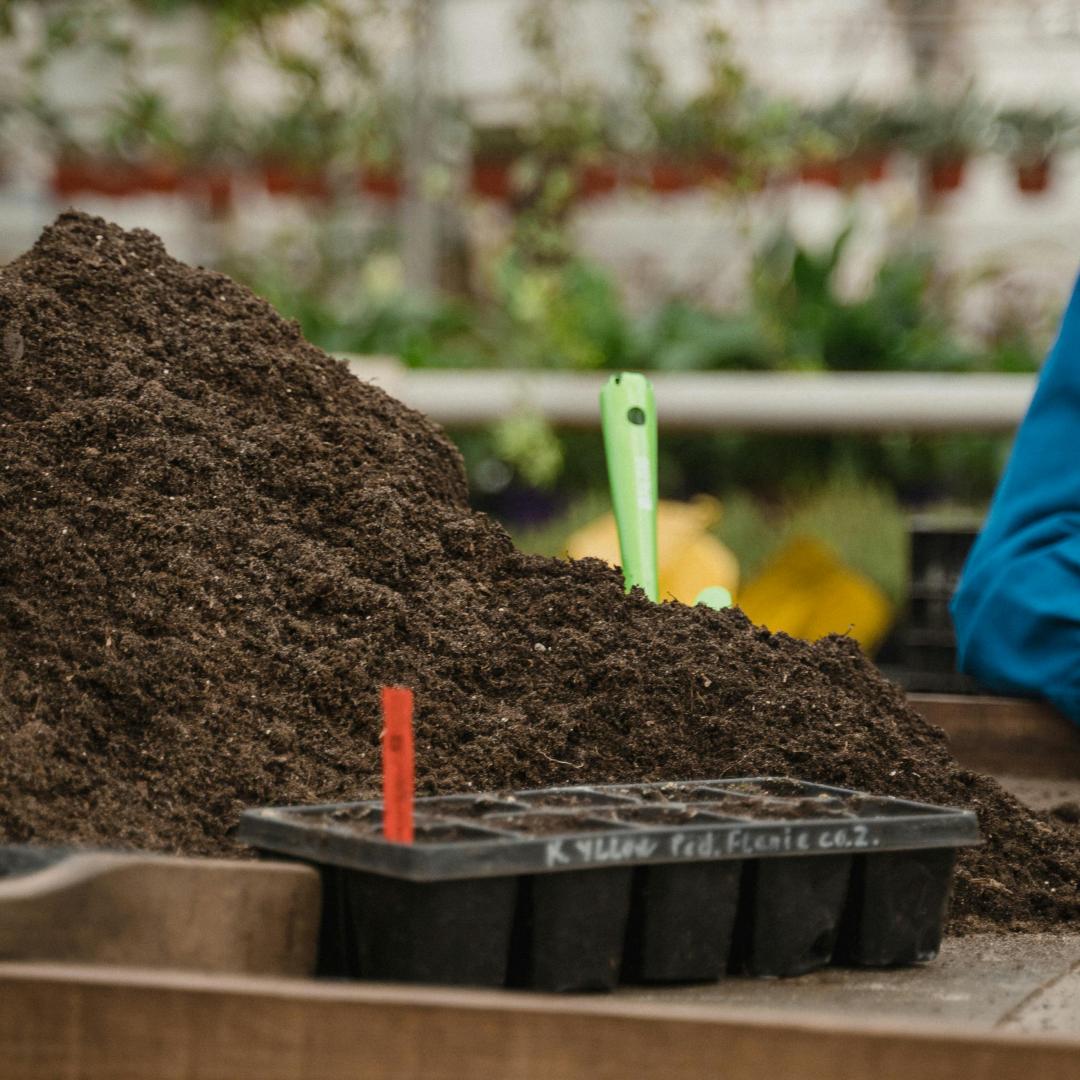 Fall Gardening Tips: Preparing Your Garden for the Winter Months