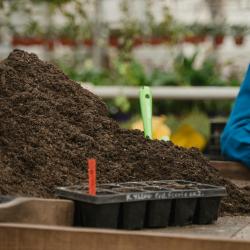Fall Gardening Tips: Preparing Your Garden for the Winter Months