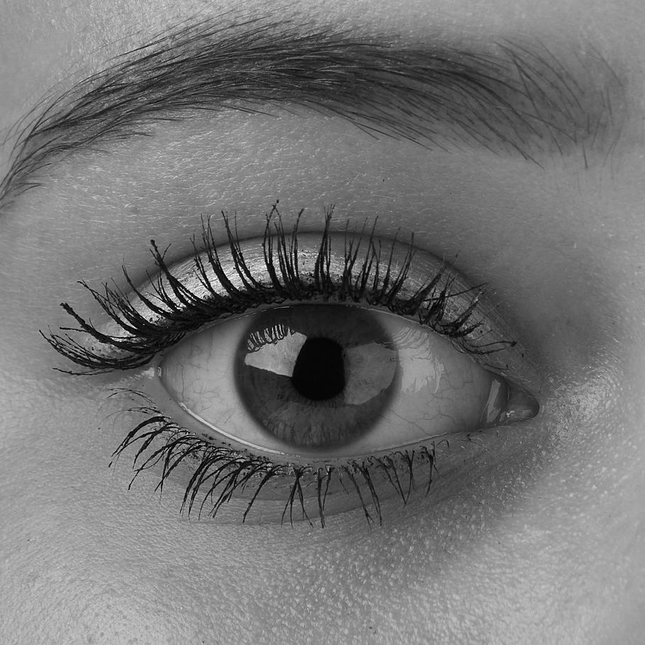 The Ultimate Guide to Perfecting Your Eyebrow Shape