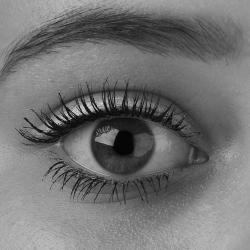 The Ultimate Guide to Perfecting Your Eyebrow Shape