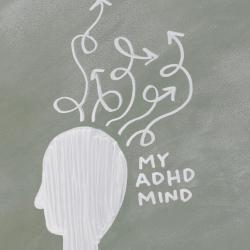 The Science of Emotional Resilience: What Happens in Your Brain?