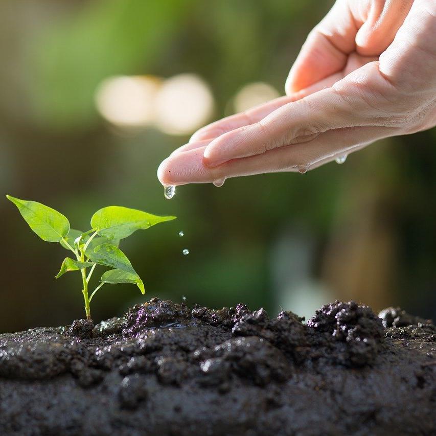 How to Prepare Your Garden for Spring Planting