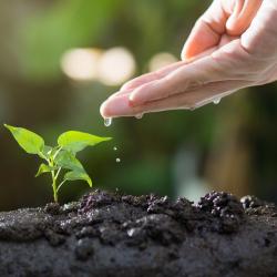 How to Prepare Your Garden for Spring Planting