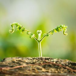 What to Do in Your Garden Each Season for Optimal Growth