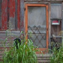 Easy Repairs for Squeaky Doors