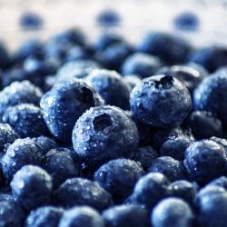 The Top 10 Superfoods You Should Include in Your Diet