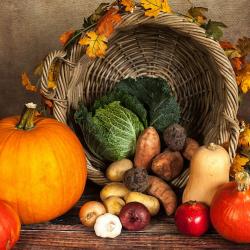 How to Properly Store Fresh Produce to Extend Its Shelf Life