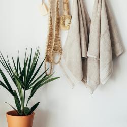 How to Create a Green Cleaning Routine with Natural Ingredients