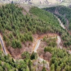 Best Road Trips for Exploring Hidden Gems