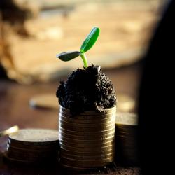 What You Should Know About Dividend Investing