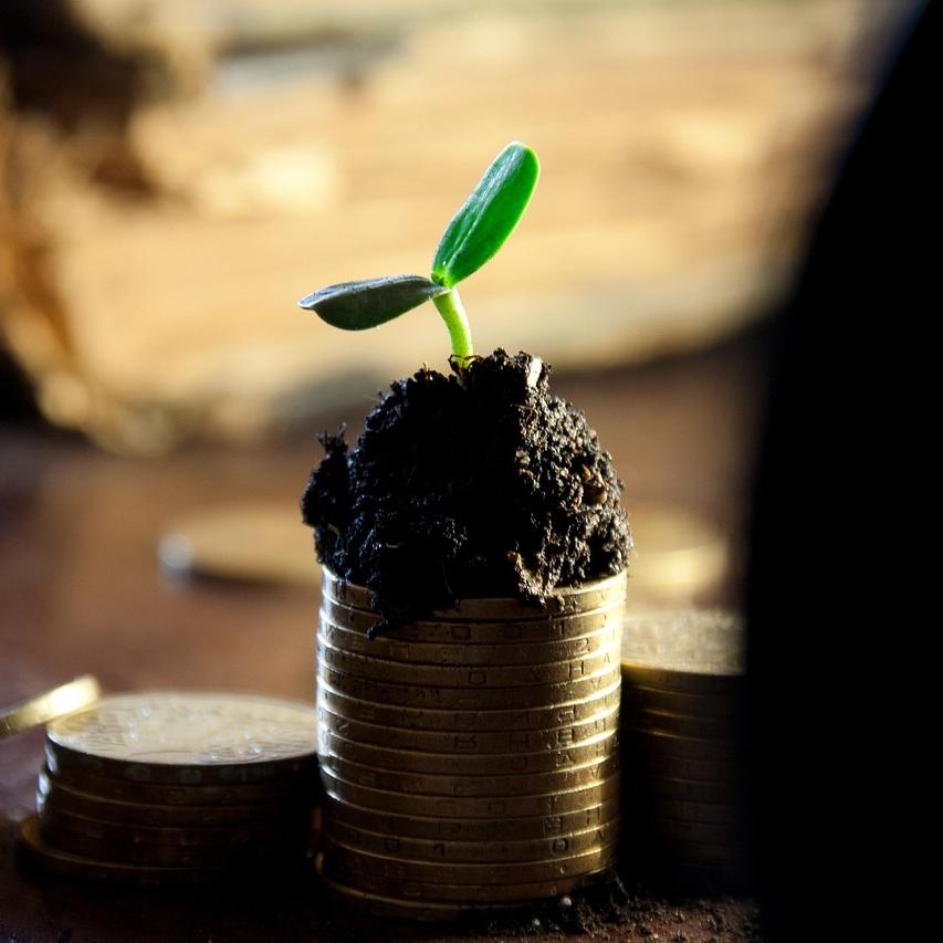 What You Should Know About Dividend Investing