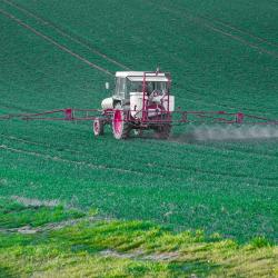 Signs of a Pest Infestation: When to Call a Professional