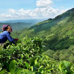 Off-the-Beaten-Path Destinations in Asia