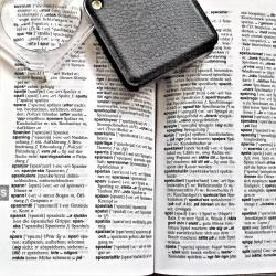 How to Make the Most of Language Immersion for Faster Learning